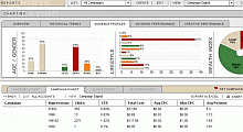 Tela de Urchin 5 - Software de análise de sites 
