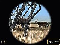 Tela de Deer Hunter 2004