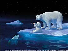 Tela de Polar Bear Desktop #1