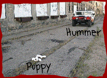 Tela de Hummer and Puppy