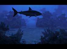 Tela de Sharks : Terrors of the Deep