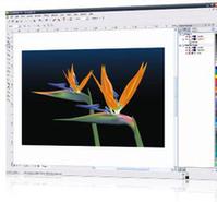 Tela de CorelDRAW Graphics Suite X4