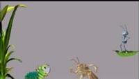 Tela de A Bug's Life Screen Saver