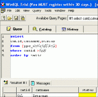 Tela de WinSQL Lite