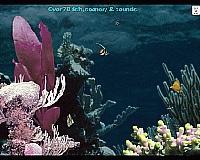 Tela de Aquatica Water worlds 3D 