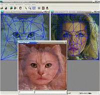 Tela de SmartMorph